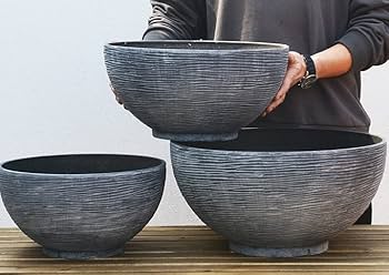 睡蓮 Amazon.co.jp: 睡蓮鉢 睡蓮の鉢 睡蓮鉢+大型 睡蓮鉢プラスチック