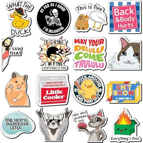 Debinolo 16 PCS Fridge Magnets - Funny Memes, Cute Animals, and Words for Refridgerator Cabinet Door Dishwasher Filing Cabinets Tool Box Home/Office Decoration Cover