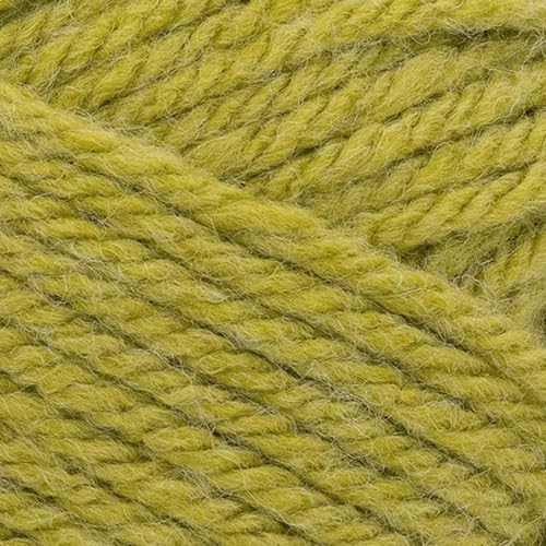 Image of Lion Brand Yarn, Hue + Me Chunky Yarn for Crocheting, Knitting, and Crafts, Dirty Chartreuse, 1 Pack