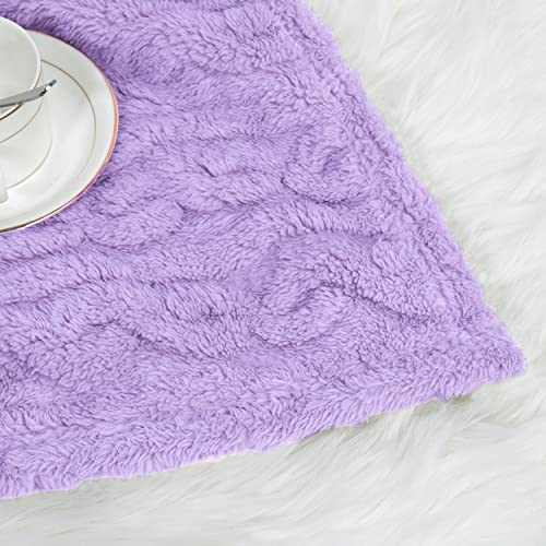 Image of HOMRITAR 3D Purple Fleece Fluffy Fuzzy Baby Blanket for Boys Girls