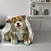 T&H XHome Flannel Fleece Microfiber Throw Blanket Corgi Blanket, Corgi Puppy Lover Pet Owner Soft Warm Fuzzy Lightweight Bed Blankets for Couch Bedroom Living Room 40
