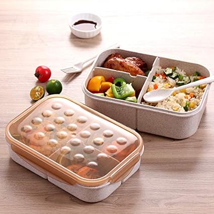 BIGGKIDDO 3 Compartment Lunch Box Reusable Freezer/Dishwasher Safe Tiffin Box for Boys, Girls, School & Office Men 1150ML. (Multicolor)