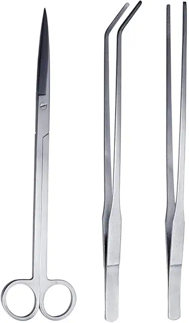 Nuoshen - Set 3 attrezzi per terrario piante in acciaio inox: pinzette, forbici, spatola