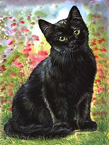 YSCOLOR Diamond Painting 5D – Gatto Siamese – Kit Completo 30x40cm – Tela HD Con Diamanti Rotondi – Fai Da Te Per Adulti E Bambini