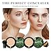 Mushroom Head Air Cushion CC Cream Foundation, 2PCS Full Coverage Concealer Foundation Face Makeup Set with Makeup Brush, Long-lasting Oil Control Moisturizing BB Cream, Even Skin Tone, Natural