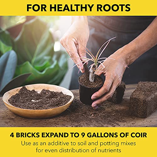 Harris COCO-4 Coir Pith, 4 Bricks Expand To 9 Gallons Of Coconut Coir To Promote Healthy Root Growth thumb #1
