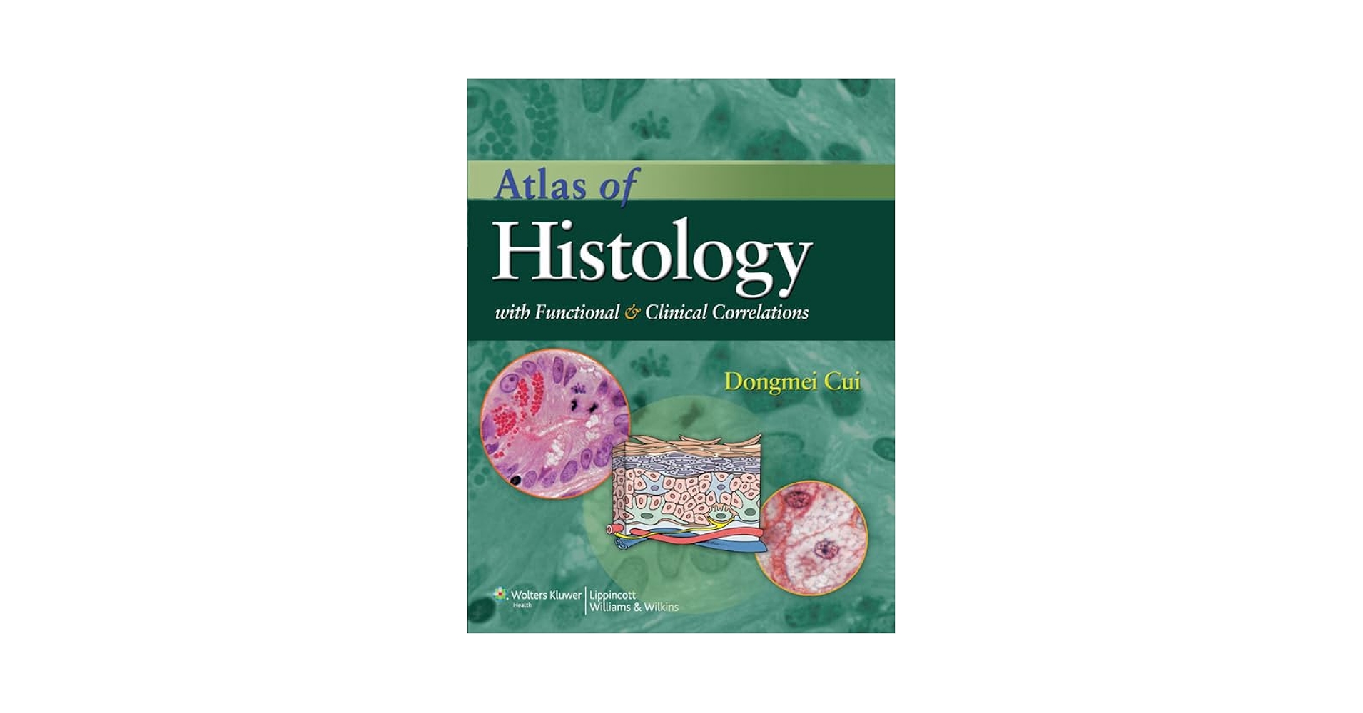 健康・医学 An Atlas of Histology An Atlas of Histology: 9780387949543: Medicine & Health