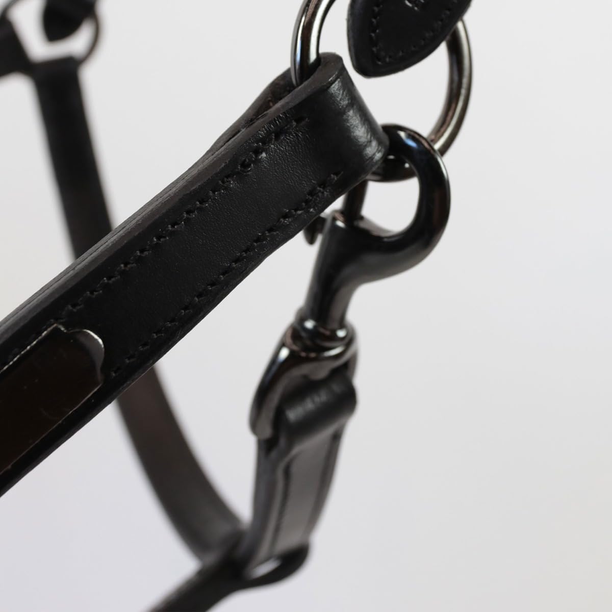 Cavezza Cuoio Equityum SuperSoft Glitter, Comfort e Stile Italiano, Materiali Innovativi, Design Elegante, Dettagli Raffinati per Cavalieri Esigenti (Nero, Cob)