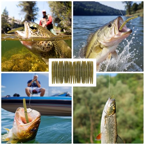 Image of Senko Bait Soft Plastic Lures 5 inch Senkos 24 Pcs for Wacky Rig Freshwater Fishing Green Pumpkin senko with Black Flake