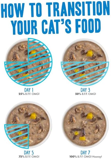Weruva BFF OMG Gravy It's Gravy, Baby Variety Pack Wet Cat Food