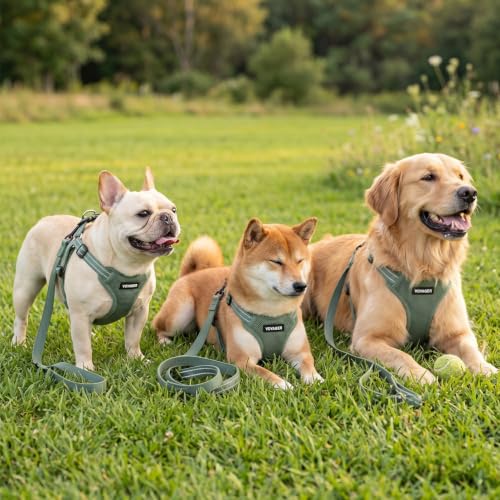 Image of Best Pet Supplies Voyager Adjustable Step-in Flex Breathable Mesh Dog Harness for Small Medium Large Dogs Leash Set (Moss Green), XS