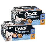 Cesar Puppy Classic Loaf in Sauce and Filets in Gravy Wet Dog Food Variety Pack, Chicken & Beef and Chicken Recipes, 3.5 oz. Easy Peel Trays, Dog Food Toppers, 12 Count (Pack of 2)