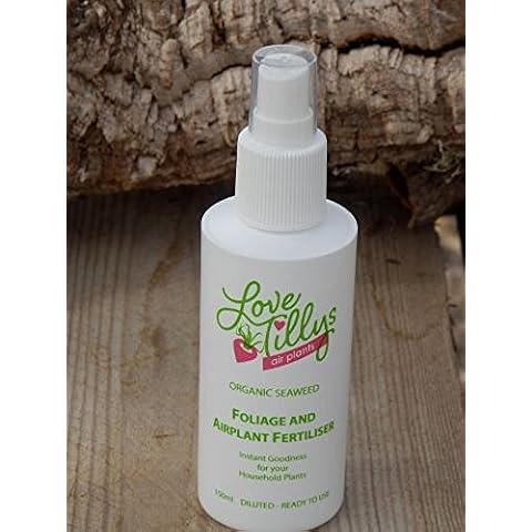 Tillandsia Air Plant Fertiliser 150ml in spray bottle - food for your plants Cover