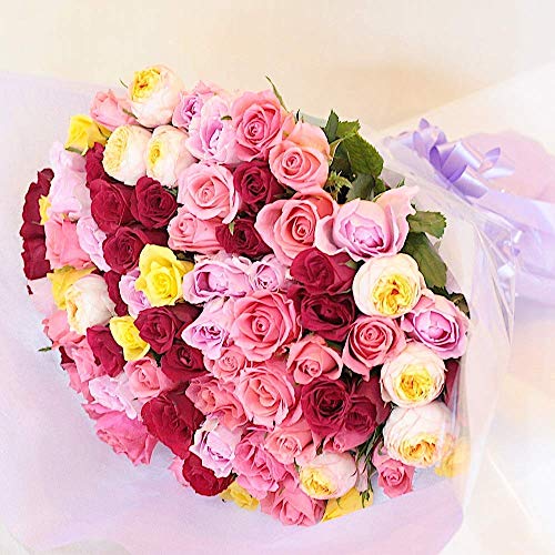 BisesFlower(rYt[)yN[֏oׁzo ԑ 80{ ~bNX v|[Y TvCY  [Y KN u[P EFfBO v[g  LO  ỏԑ a KN̉ԑ Ê P