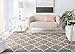 SAFAVIEH Hudson Shag Collection Area Rug - 8' x 10', Grey & Ivory, Moroccan Trellis Design, Non-Shedding & Easy Care, 2-inch Thick Ideal for High Traffic Areas in Living Room, Bedroom (SGH282B)