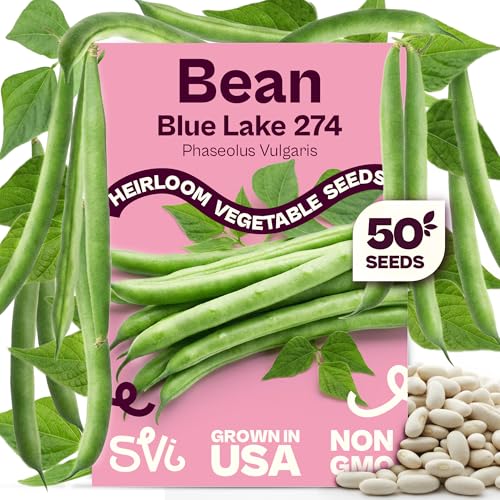 SVI 50 Blue Lake 274 Bush Green Bean Seeds (Phaseolus vulgaris) Bush Beans Seed Packets String Beans Heirloom Vegetable Seeds for Outdoors Home Garden & Containers
