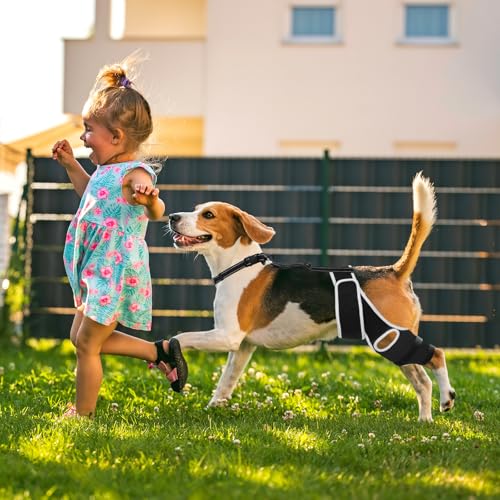 Image of Dog Knee Brace for Torn ACL Hind Leg Support, Adjustable Dog Leg Braces for Back Leg, Cruciate Ligament Injury and Luxating Patella Recovery, Hip Brace for Dogs, Universal for All 4 Legs, L