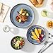 vancasso PLAYA Plates and Bowls Sets, 12 Pieces Grey-Blue Dinnerware Sets for Kitchen, Reactive Glaze Dishes Set for 4, Dishwasher and Microwave Safe