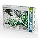 Produktbild CALVENDO Puzzle Asplenium Adiantum nigrum 1000 Teile Lege-Größe 64 x 48 cm Foto-Puzzle Bild von Friederike Küster