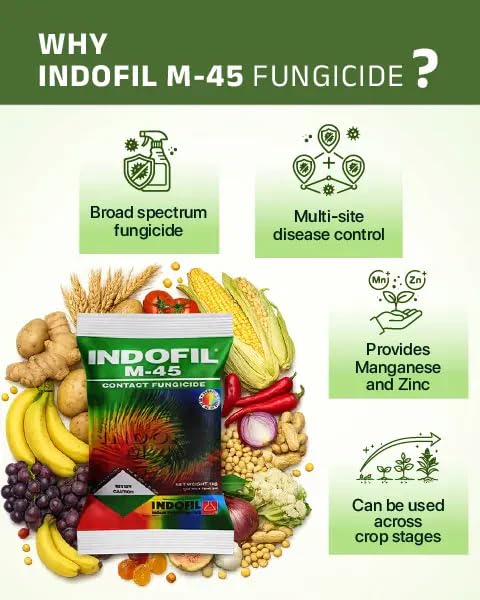 Image of INDO-FIL M-45 100gm + Hand Gloves | Fungicide for all type of Plants | Prevent Rottings and leaf Blights | No more Fungal disease.
