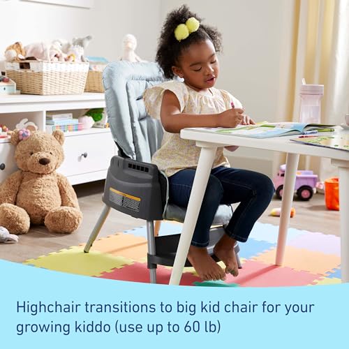 Graco Made2Grow 5-In-1 Convertible Highchair, Adjustable Baby To Toddler Seat thumb #3