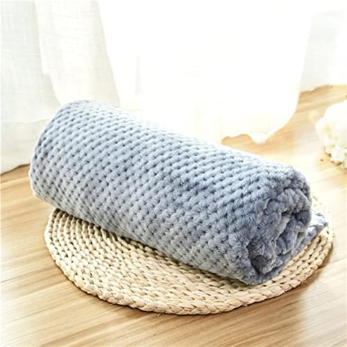 Couverture pour chien de haute qualité plaid bleu peluche