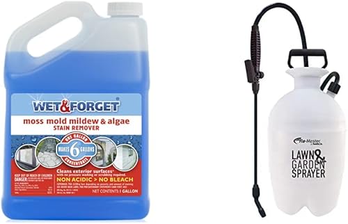 Wet & Forget Hudson 24102 - Removedor de manchas de musgo, moho y algas multisuperficie, limpiador concentrado, original, 128 onzas líquidas y
