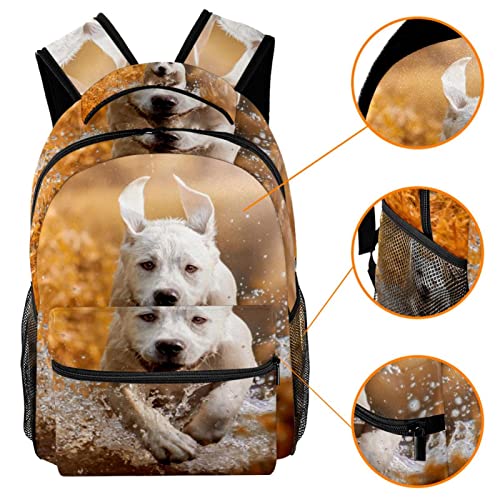 Mochilas ligeras de labrador para evitar dolor de espalda 3