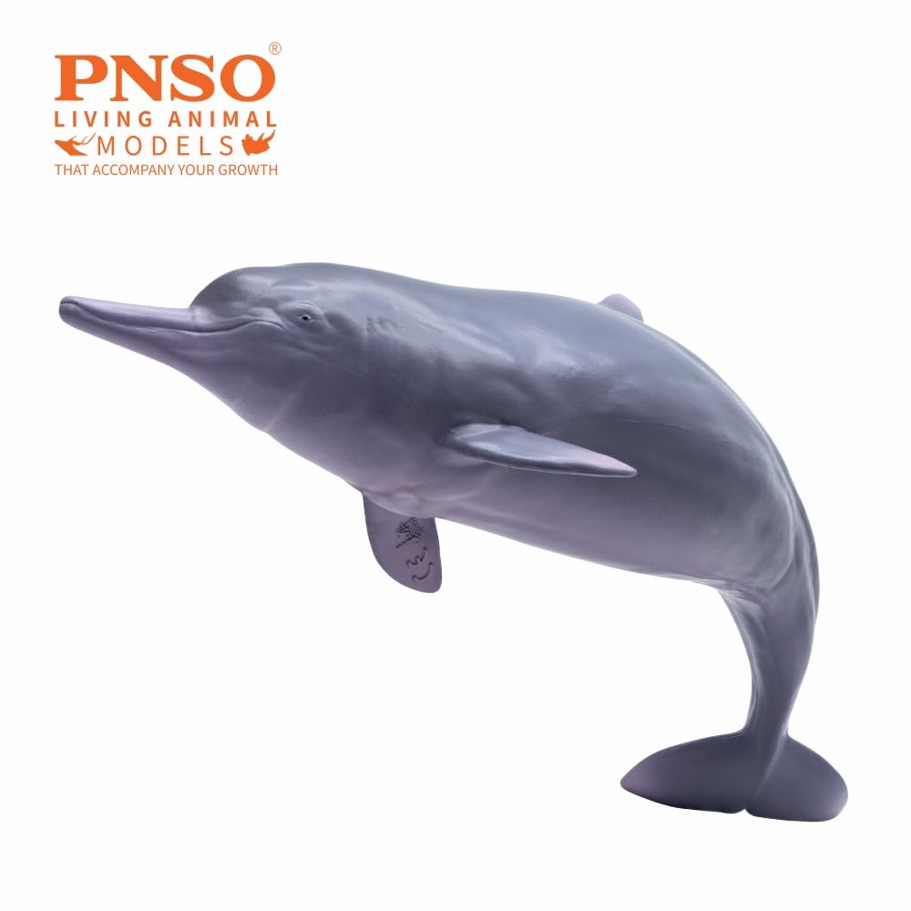 Amazon.com: PNSO Living Animal:17 Xibao the Chinese White Dolphin