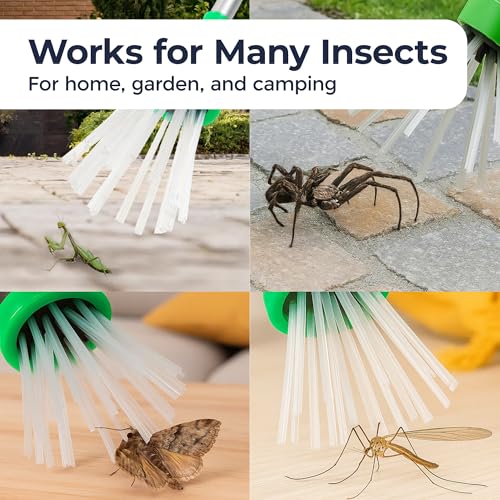Niftii Spider Catcher With Extra Long Handle - Insect Catchers Safely Humanely Removes Spiders Insects Wasps Bees Moths, Spider Catchers For Home - 7