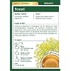 Traditional Medicinals Organic Fennel Herbal Tea, Promotes Digestive Health, (Pack of 2) 32 Tea Bags Total