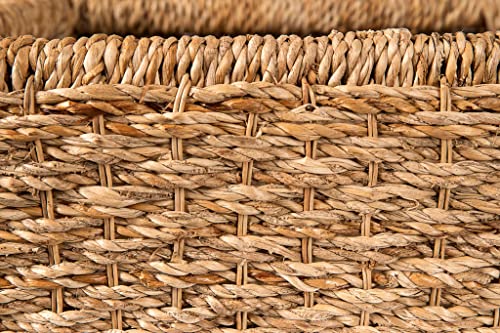 Wholestory Collective Handwoven Wicker 35" Banana Leaf Storage Trunk And Chest Toybox Xl Organizers With Lid, Natural Color With Handles #TOP7