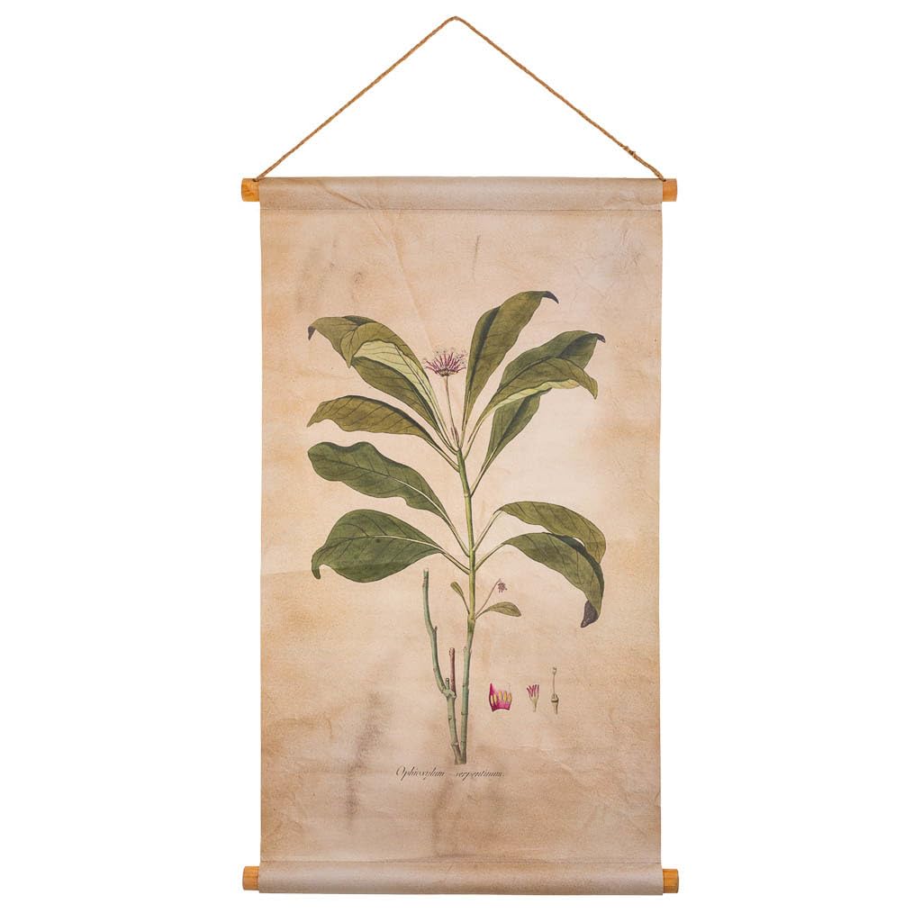 Toile parchemin pour habiller un mur vide sans percer de cadre lourd