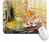 Designer-Mauspads für Personal Computer / Laptop