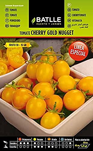 Semillas Batlle Tomate Amarillo Cherry Gold Nugget