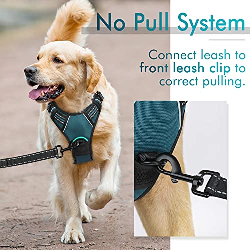 Image of rabbitgoo Dog Harness No Pull with 2 Leash Clips, Adjustable Soft Padded, Reflective Oxford No Choke Pet Vest with Easy Control Handle for Small Dogs, Blue Coral, S