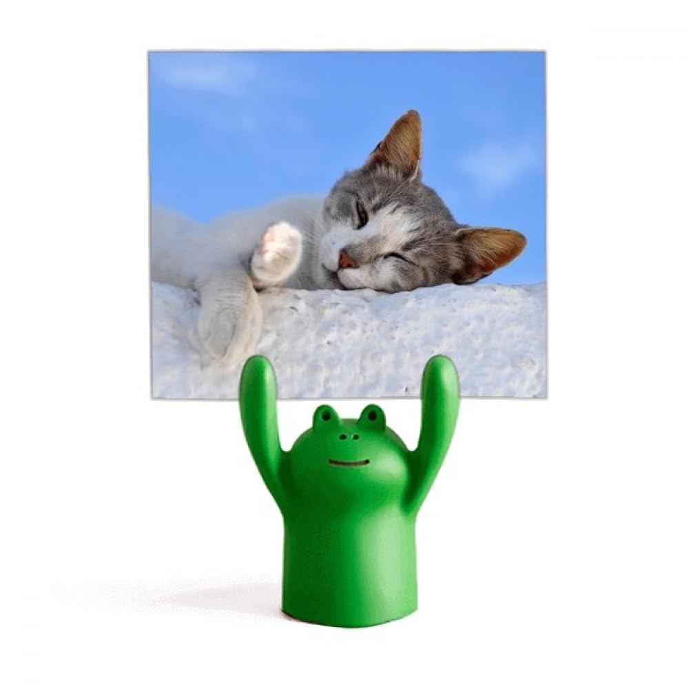 Pince-note grenouille chat adorable : l'idée cadeau parfaite pour les collègues