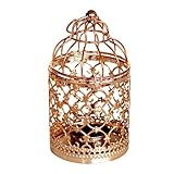 Classiques et pleins de durabilité, matériaux métalliques, ces décorations de cage à oiseaux ont une apparence exquise et un motif élégant. Motifs creux de style européen, rendant votre maison chaleureuse et merveilleuse.