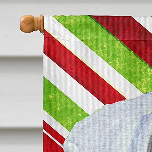 Drapeau Boxer de Noël grand format cadeau idéal pour propriétaire de chien et maison - 4