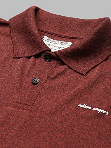 Image of Allen Cooper Polo Tshirt for Men