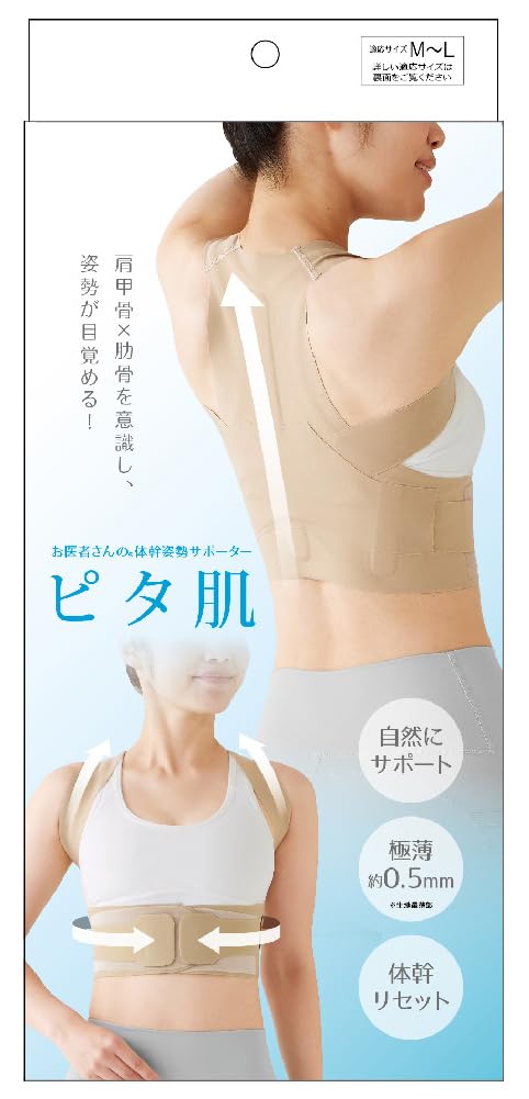 Amazon | アルファックス 姿勢ベルト 背筋ベルト 背中用 薄型 お