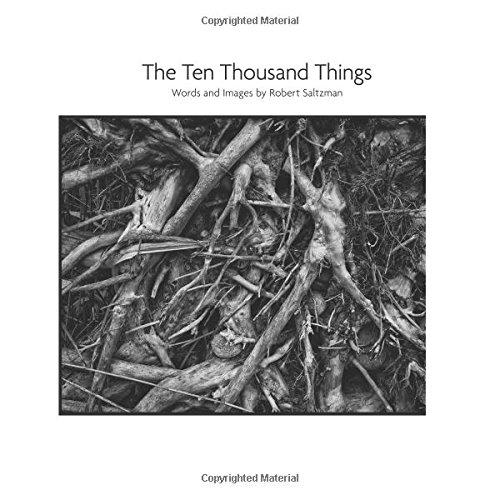 The Ten Thousand Things 1908664592 Book Cover
