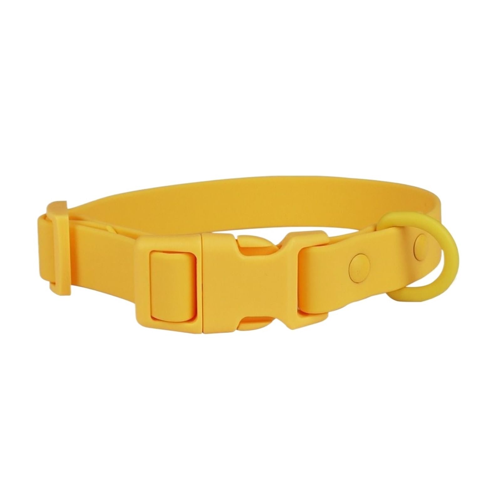 Collier en sangle élastique pour animaux taille M réglable et étanche