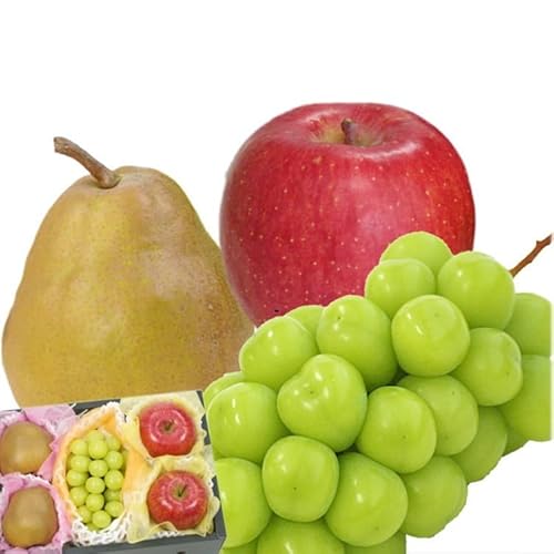 R`Y t[cZbgAVC}XJbg1[i500gȏjATӂ2AS[hEtX2Av1.4kgȏ