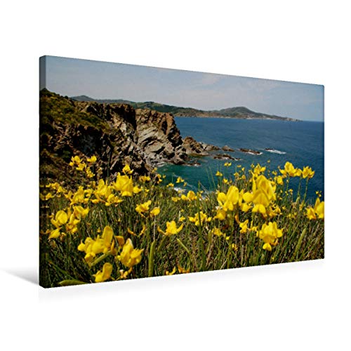 Preisvergleich Produktbild CALVENDO Frankreich (Côte Vermeille)