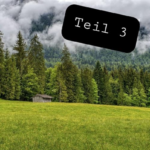 #25 Podcast-Vlog (3/4)!