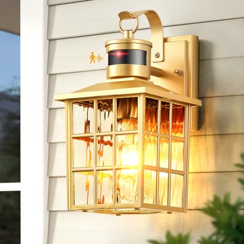 VIANIS Gold Motion Sensor Outdoor Lights for House, Anti-Rust, Waterproof
