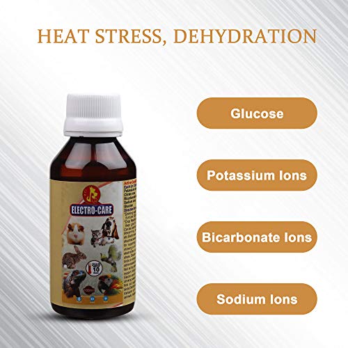 Image of Pet Care International (PCI) Electro Care || for Heat Stress, Loose Motion, Dehydration || in Birds, Dog, Cat, Reptiles, Hamster, Marmoset, Iguana, Gecko, Dwarf, Gerbil Healthcare (100ml)