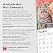 Kittens & Puppies | 2026 7 x 14 Inch (Hanging) Monthly Mini Wall Calendar | BrownTrout | Animals Cute Dogs Cats