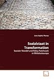  Sozialstaat in Transformation: Sozialer Wandel und Policy-Patchwork in Mittelosteuropa